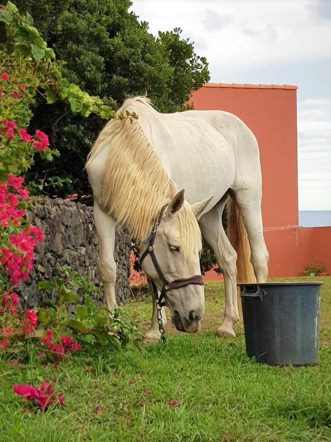 Quinta Da Falesia - Casa Branca Понта-Делгада Экстерьер фото